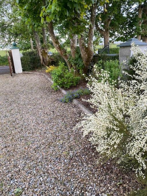Breathnach Cottage Annex Knockleagha Ballina F26 D7E2 Dış mekan fotoğraf