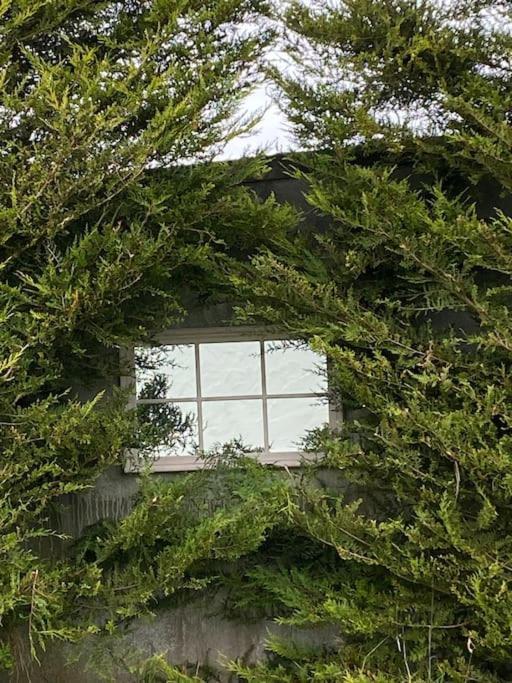 Breathnach Cottage Annex Knockleagha Ballina F26 D7E2 Dış mekan fotoğraf